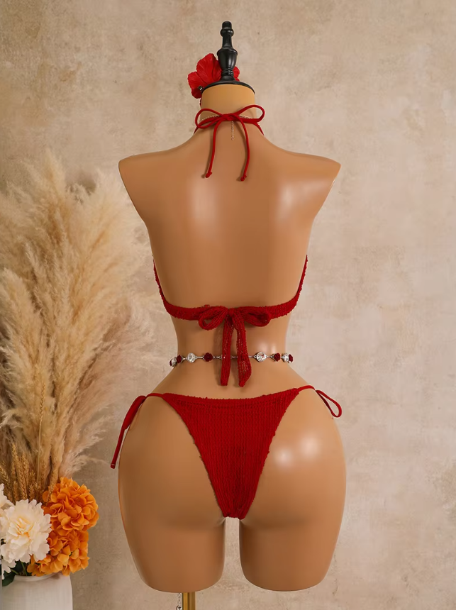 Back view of the sangria Milano Set bikini showing halter tie top, back tie closure and matching tie-side bottoms.