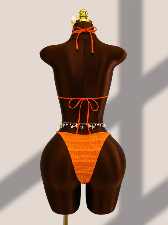 Back view of tangerine crochet-look bikini set with halter tie, back tie and minimal high-leg bottoms.